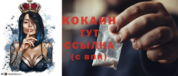 соль ск Осинники
