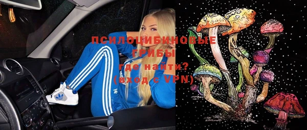 соль ск Осинники