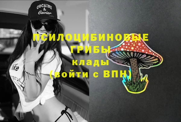 соль ск Осинники